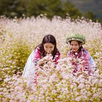 Tour du lịch Hà Giang: Mùa hoa tam giác mạch 3N2Đ