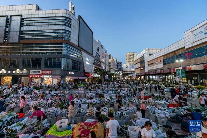 Chợ hoa Đấu Nam lớn nhất châu Á