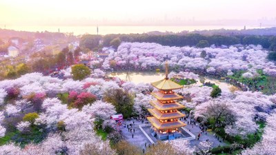 Tour du lịch Trung Quốc: Tam Hiệp - Sông Dương Tử - Vũ Hán - Cổ Thành Kinh Châu 5N4Đ