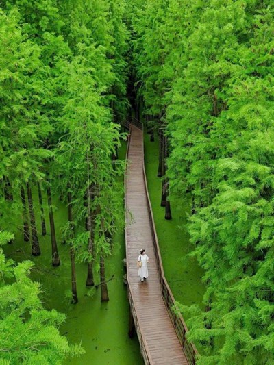 Tour du lịch Trung Quốc: HN – HÀNG CHÂU - BỘC VIỆN CỔ TRẤN  – THƯỢNG HẢI – HOÀNH THÔN 5N4Đ