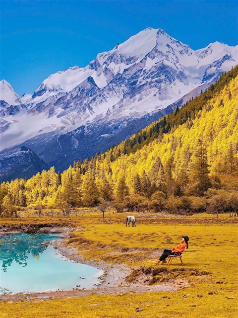 ĐẠO THÀNH – Á ĐINH: THIÊN ĐƯỜNG MÙA THU Ở TÂY TỨ XUYÊN