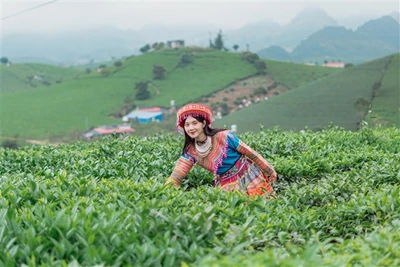 Mộc Châu - Mai Châu 