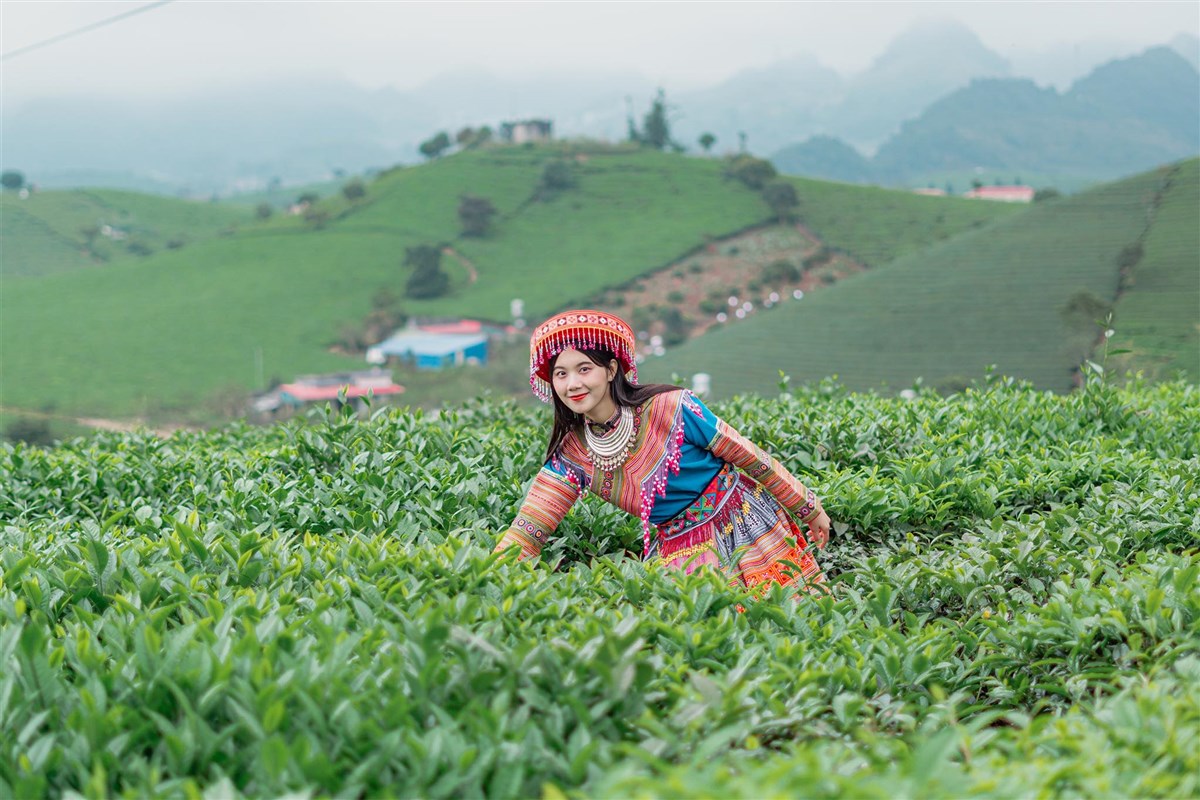 Mộc Châu - Mai Châu 