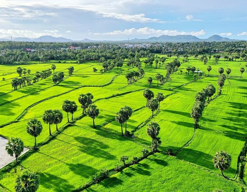 Tour du lịch miền Tây: Cần Thơ - Bạc Liêu - Cà Mau - An Giang - Tiền Giang 5N4Đ