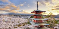 Tour du lịch Nhật Bản: Hà Nội - Tokyo - Phú Sỹ - Nagoya - Kyoto - Osaka 6N5Đ 